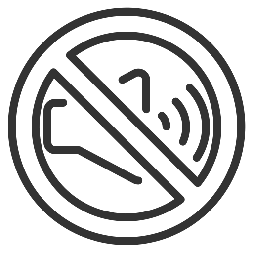 No Sound